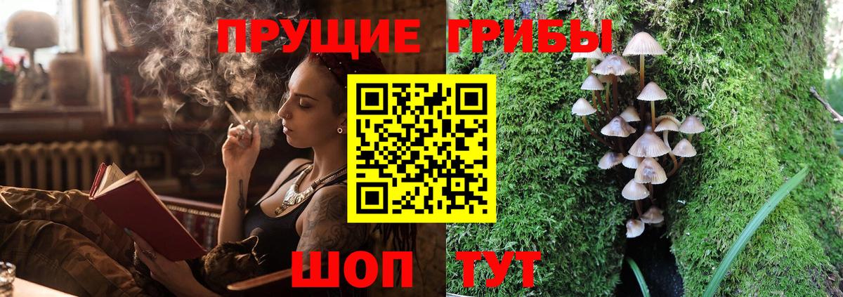 где можно купить   Псилоцибиновые грибы GOLDEN TEACHER  Вход с VPN  Губкин 